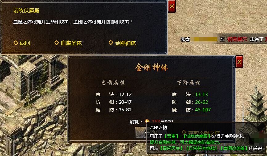 《血饮龙纹》金刚之精的作用解析